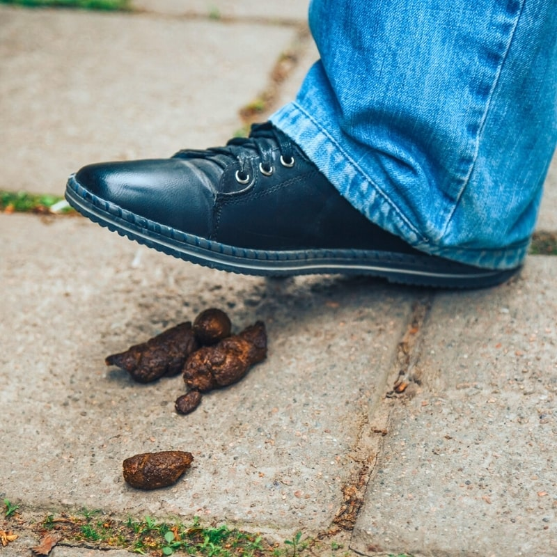 Why Commercial Dog Waste Removal Matters in OKC Person stepping in dog poop on sidewalk at a commercial property in Oklahoma City.