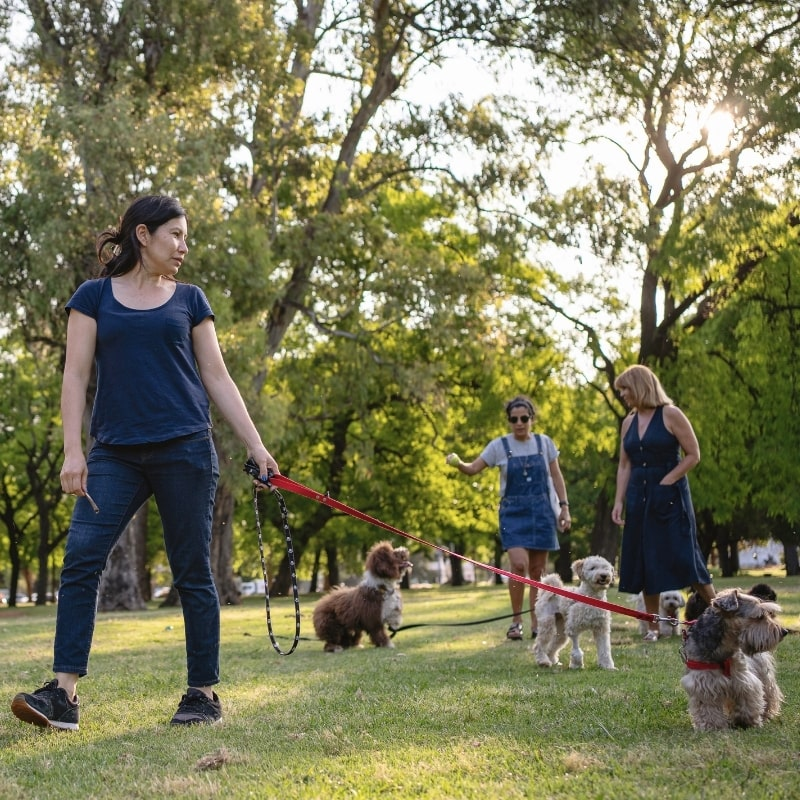 Clean Commercial Parks in OKC with Professional Pet Waste Removal Dog owners walking their pets in a clean, well-maintained commercial park in Oklahoma City.