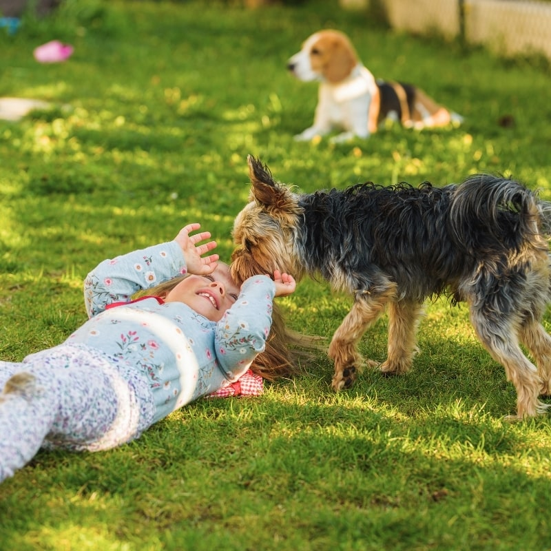 Safe, Clean Yards for Families and Pets with Poop Free OKC Child playing with dog in a clean backyard after residential pooper scooper service in Oklahoma City.
