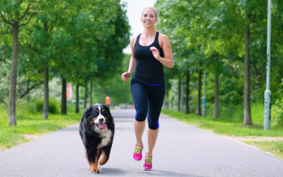 The Busy Pet Owner’s Guide to a Clean, Safe Backyard in Oklahoma City