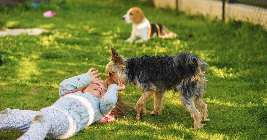 Child playing with a small dog in a sunny backyard, highlighting the importance of keeping lawns free from dog waste for family safety.