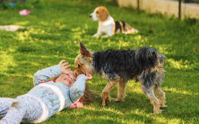 How Dog Waste Affects Your Lawn, Family, and Pets