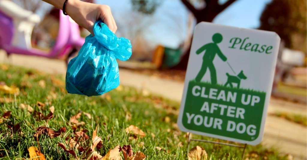 Hand holding bag of dog waste near sign reminding pet owners to clean up after their dogs.
