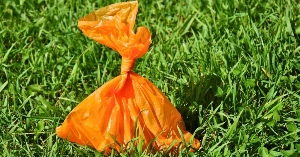 Regular Dog Poop Cleanup for a Healthy Yard | Poop Free OKC Sealed orange dog waste bag placed on green grass after yard cleanup.