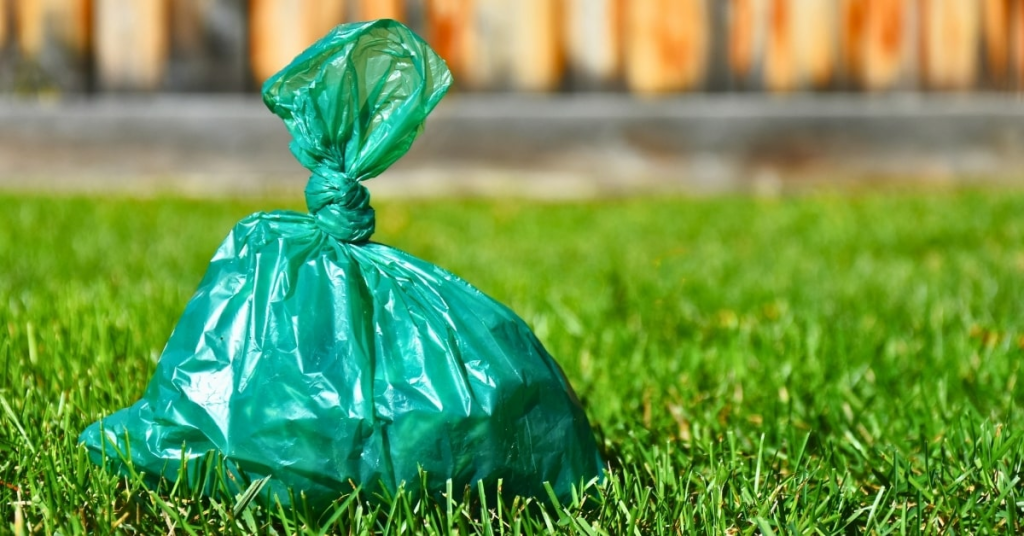 Interesting and Little-Known Facts About Dog Poop | Poop Free OKC Green bag of dog poop on grass representing surprising facts about pet waste.
