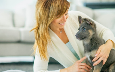 5 Mistakes First-Time Dog Owners Make