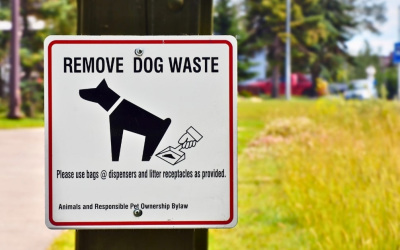 How to Properly Dispose of Dog Waste in Oklahoma City