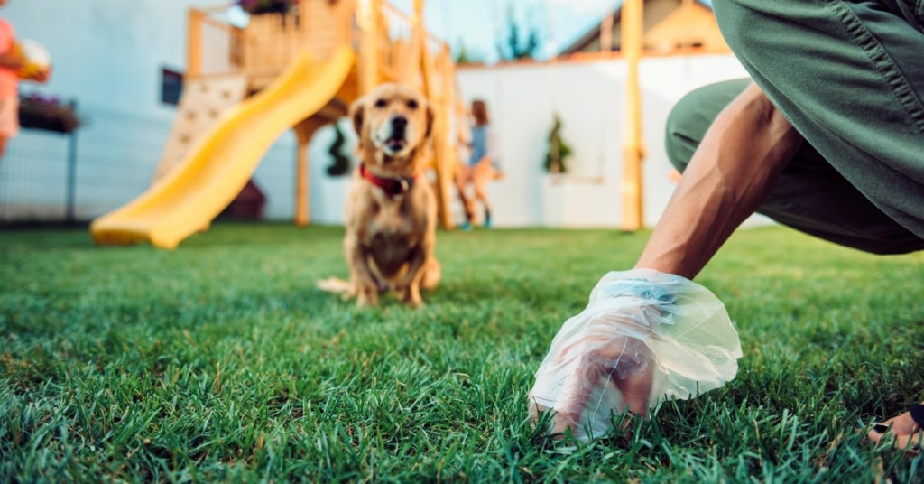 Person picking up dog poop in backyard while golden retriever watches near playground.