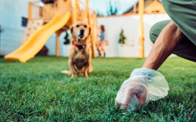 10 Reasons to Hire a Local Poop Scooper in OKC