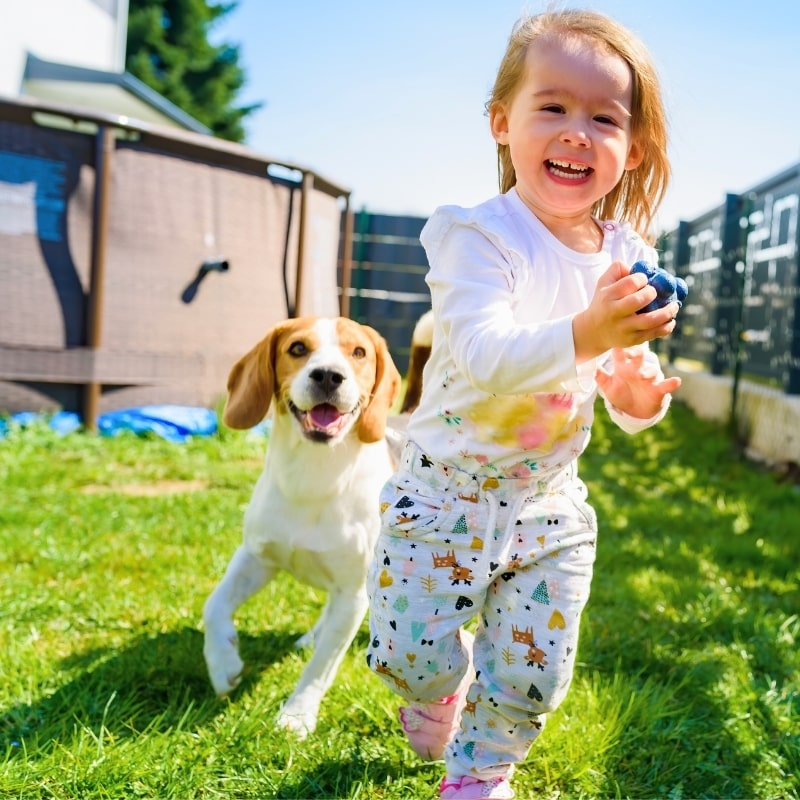Child playing with happy dog in clean backyard in Bethany, Oklahoma.