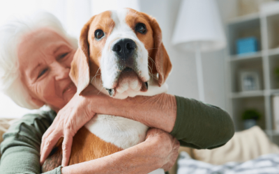 Why a Poop Scoop Service Is the Perfect Gift for Aging Pet Owners