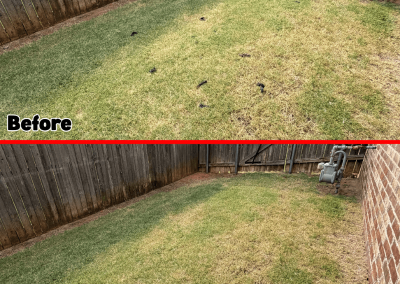 Before and after dog waste cleanup showing clean backyard.