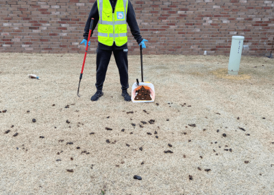 Poop Free OKC technician during dog poop cleanup service.