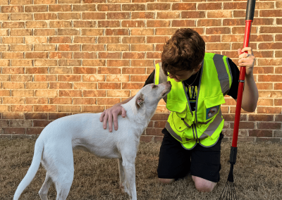 Poop Free OKC technician bonding with dog during yard service.