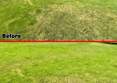 Before and after yard poop cleanup by Poop Free OKC.