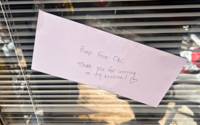 Do You Tip a Pooper Scooper? (How Much & When to Tip)