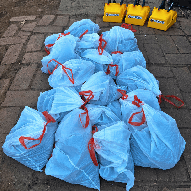 One-time dog poop removal service in Oklahoma City with multiple bags of pet waste collected from a residential yard.