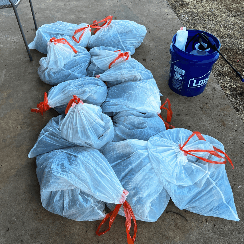 Pet waste removal cleanup in Oklahoma City with collected dog poop bags and professional equipment after one-time yard service.