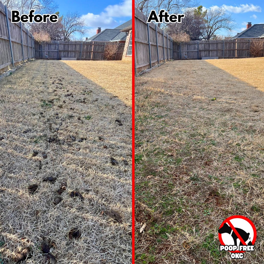 Before and after dog poop cleanup showing a yard transformed by a professional pooper scooper service in Oklahoma City.