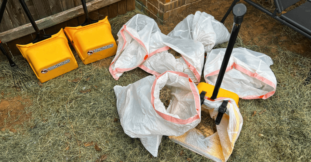 Professional pooper scooper service tools and waste bags after dog poop cleanup in a residential backyard.