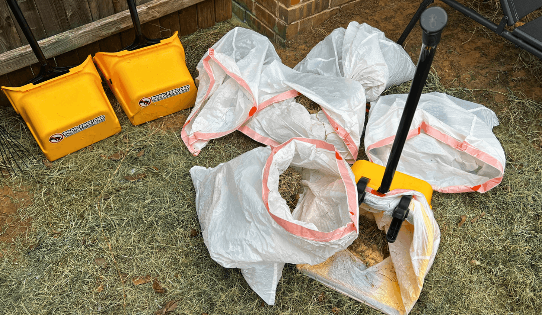 What to Expect From a Pooper Scooper Service