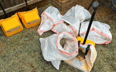 What to Expect From a Pooper Scooper Service