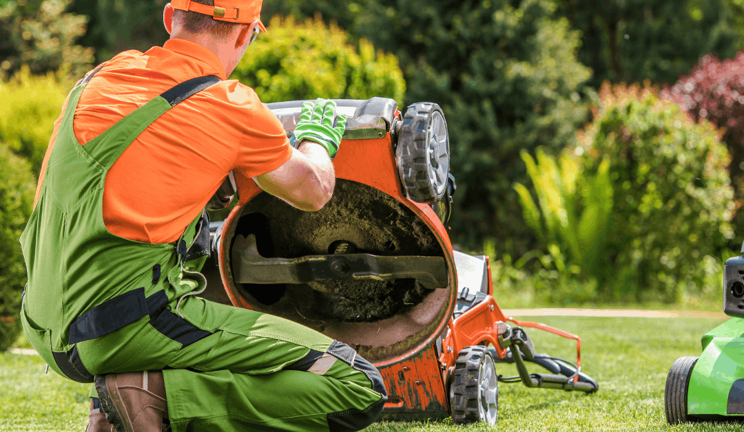 Why Lawn Care Companies Hate Dog Poop (And What It’s Doing to Your Yard)