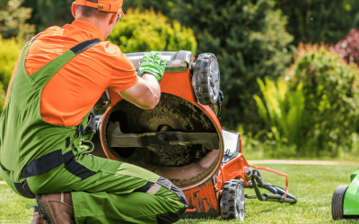 Why Lawn Care Companies Hate Dog Poop (And What It’s Doing to Your Yard)