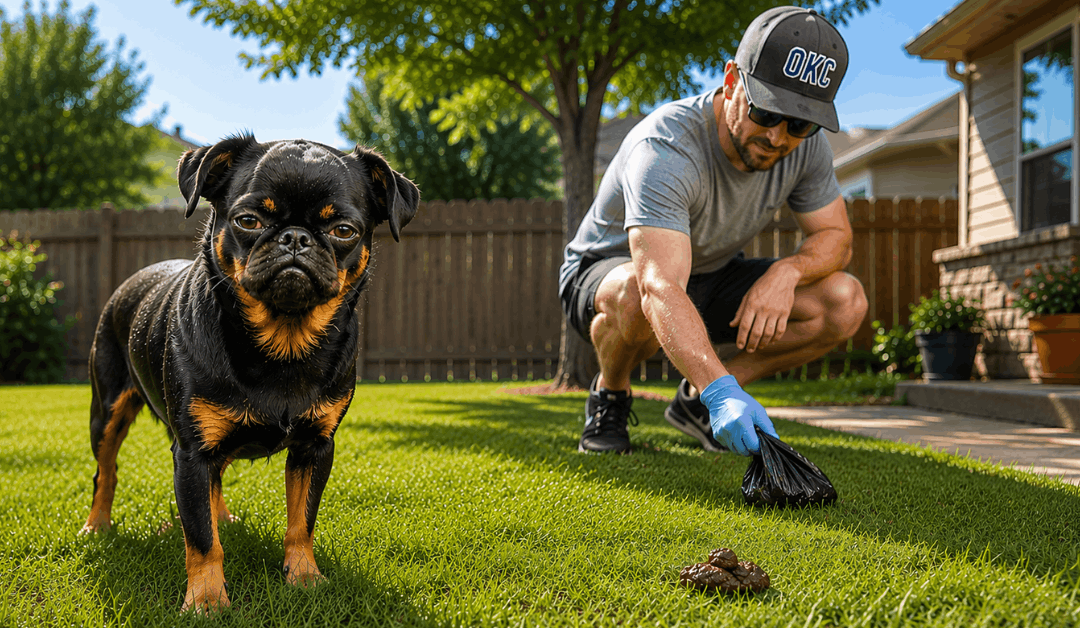 Why Scooping Dog Poop in the Summer Is Worse Than You Think