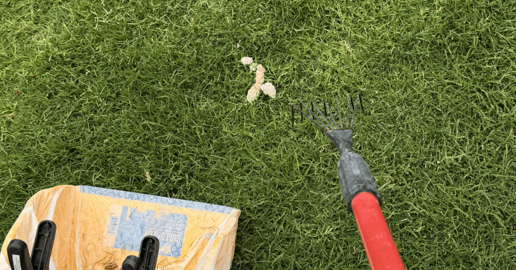 Why You Don’t See White Dog Poop Anymore | PoopFreeOKC.com White chalky dog poop in grass showing why pale dog stool used to be more common.