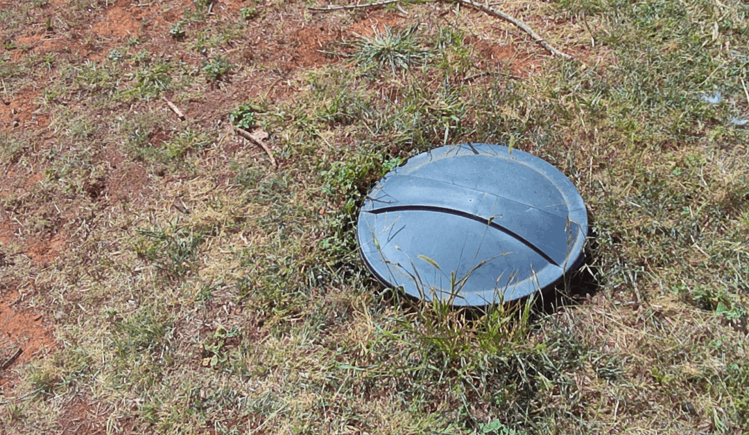 Are Dog Poop Digesters Worth It?