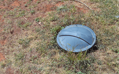 Are Dog Poop Digesters Worth It?