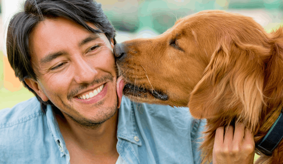 Why Does My Dog Lick Me?