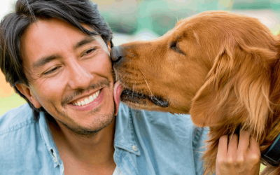Why Does My Dog Lick Me?